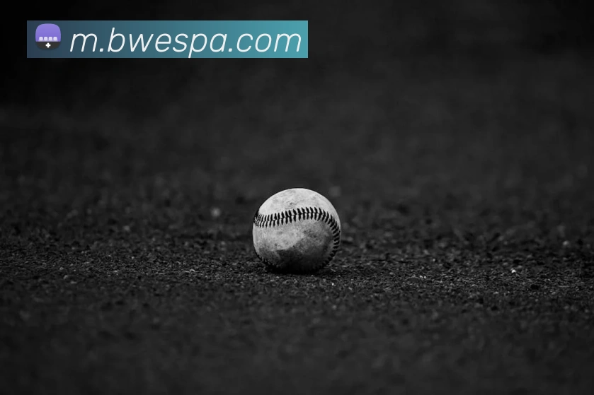 pa真人视讯平台生态图